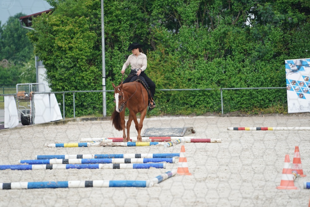 s_A9_05923.jpg